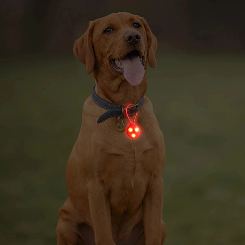 أضواء حقيبة الظهر الخارجية، مص - مراجعة Outdoor Lighting Strip وسعره